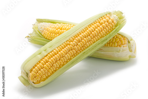 An ear of corn isolated on a white background