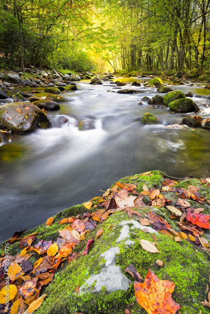 Fall Colors in the Smokies