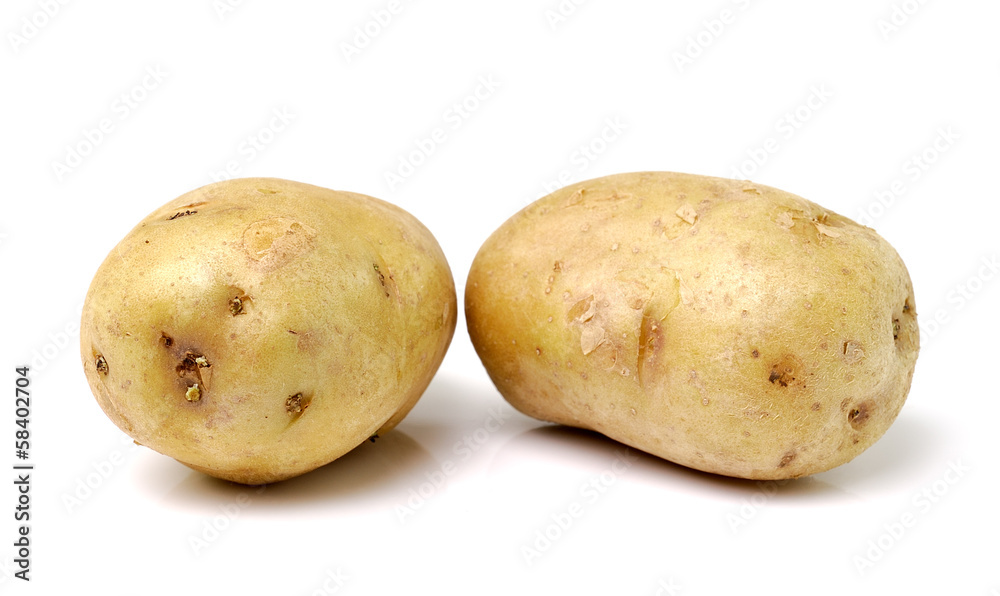 potato isolated on white background potato isolated on white background