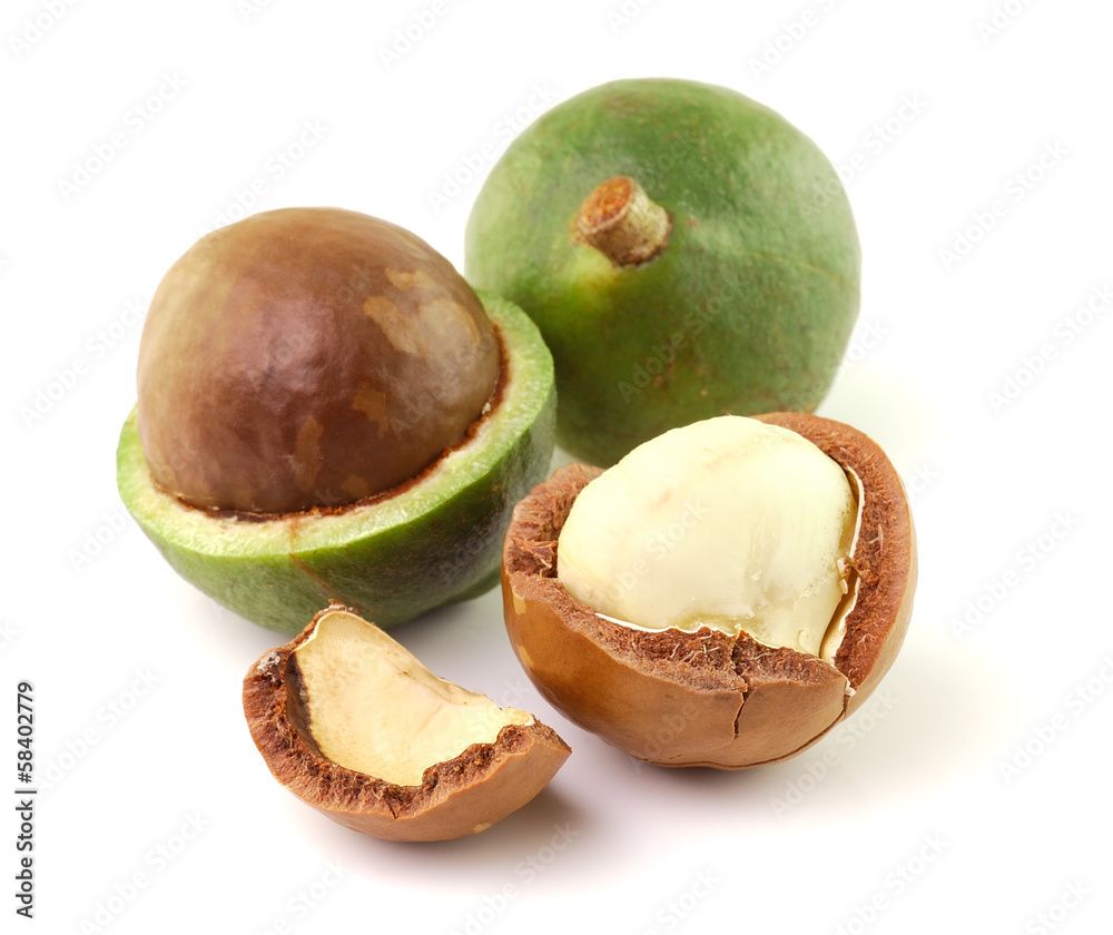 macadamia nuts on white background