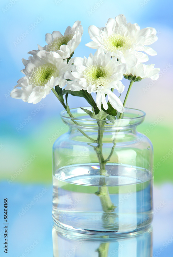 Flowers in bank on natural background Flowers in bank on natural background