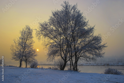 Trees covered with frost. Winter sunset, frozen river, misty © agneskantaruk