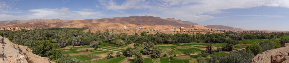 Oasis in the dade valley in Morocco