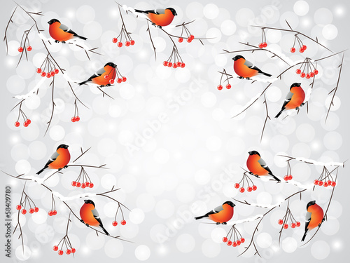 Canvas-taulu Bullfinch birds on branches winter background