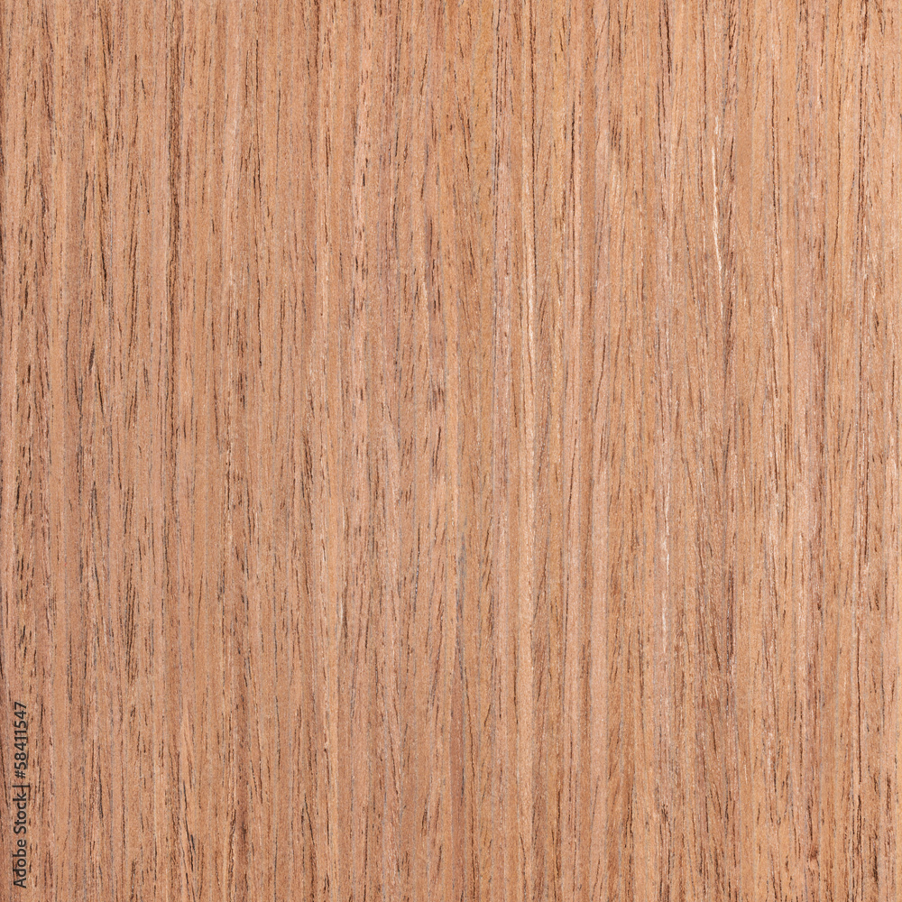 walnut wood veneer, tree background