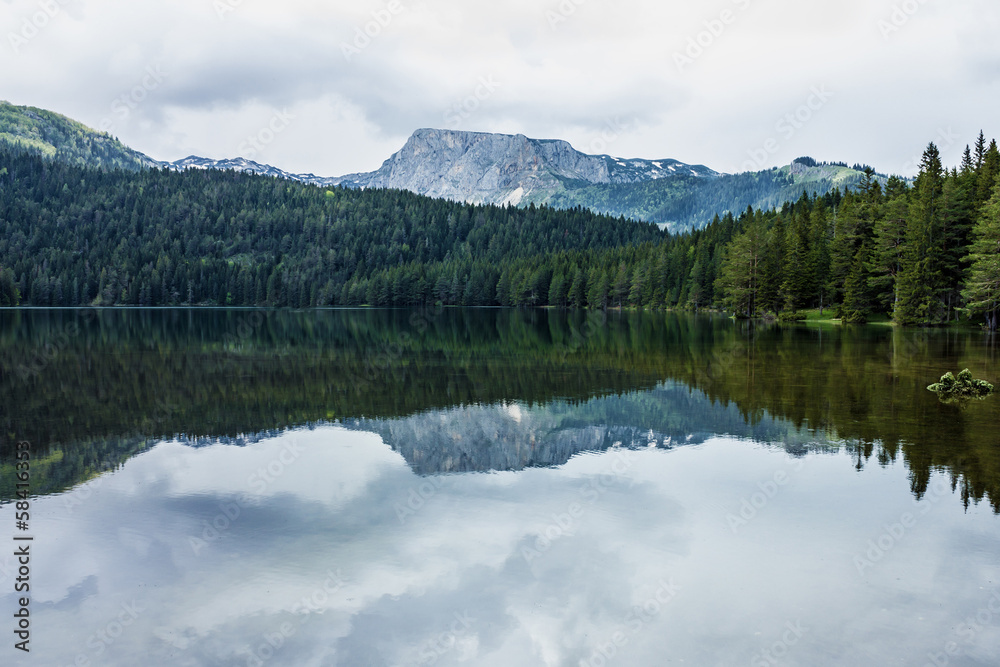 Mountain lake shore and coniferous forest.