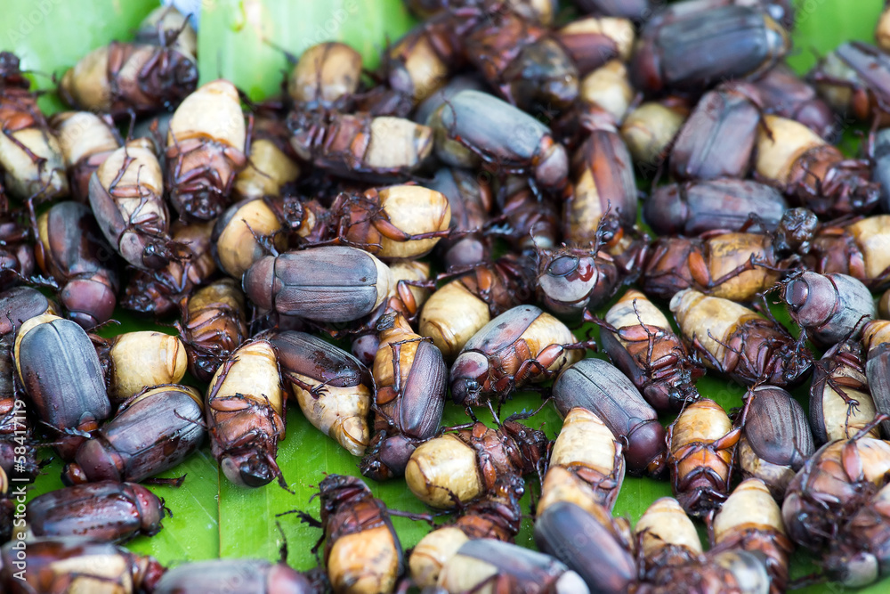 Fried beetles Fried beetles