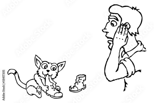 Cat chews shoes