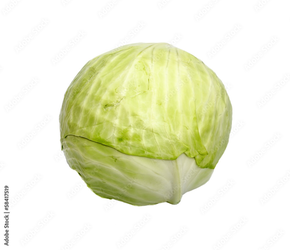 Cabbage Cabbage
