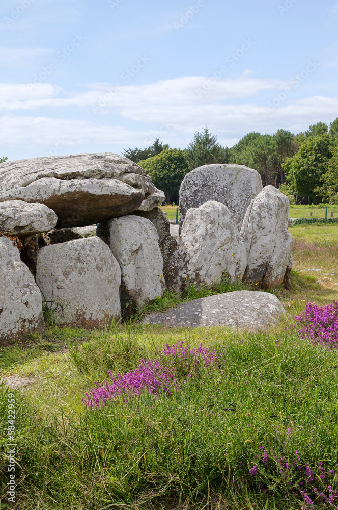 Dolmen à Carnac