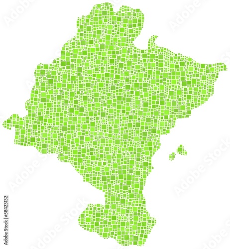 Chartered Community of Navarre in a mosaic of green squares