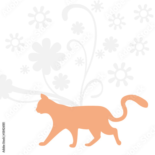 katze orange