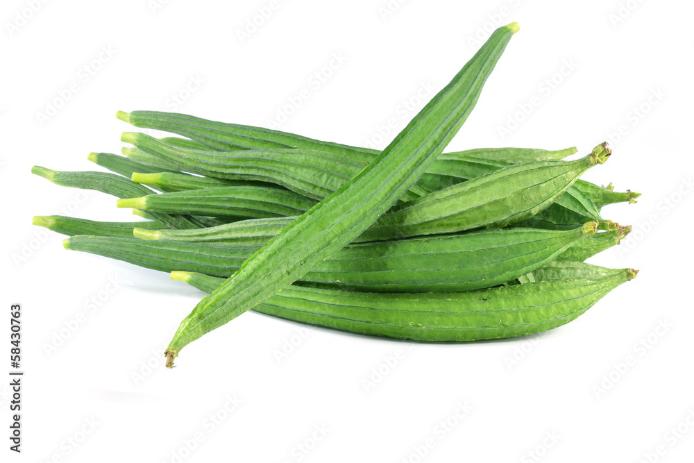 zucchini on white background zucchini on white background
