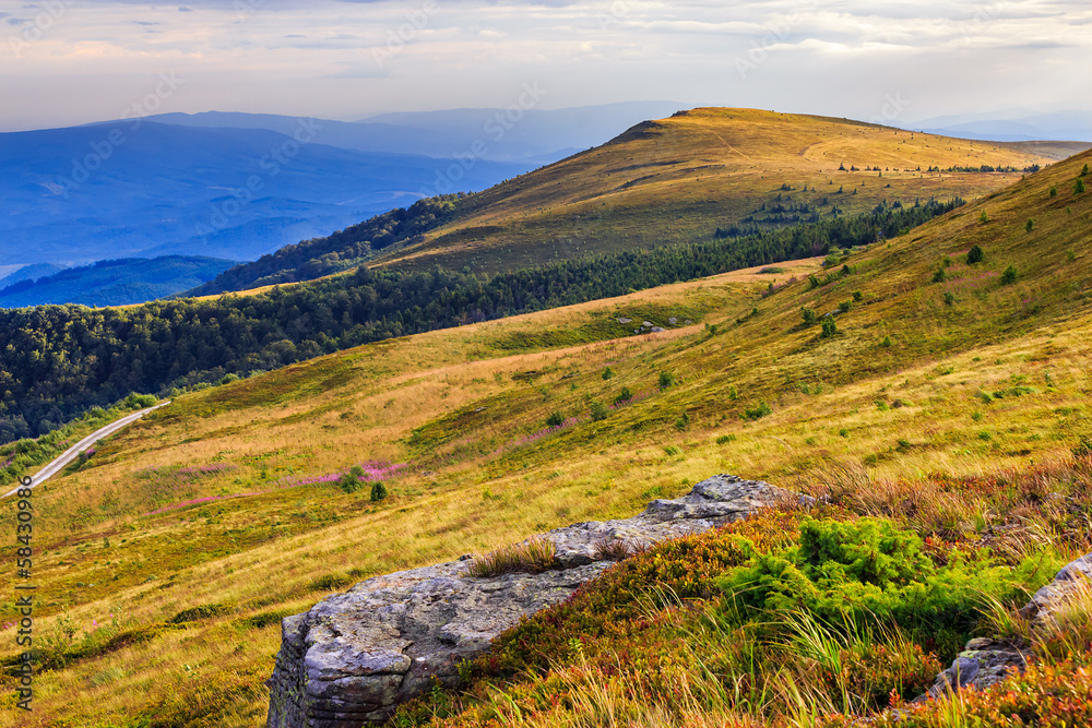 Naklejka premium light on stone mountain slope with forest