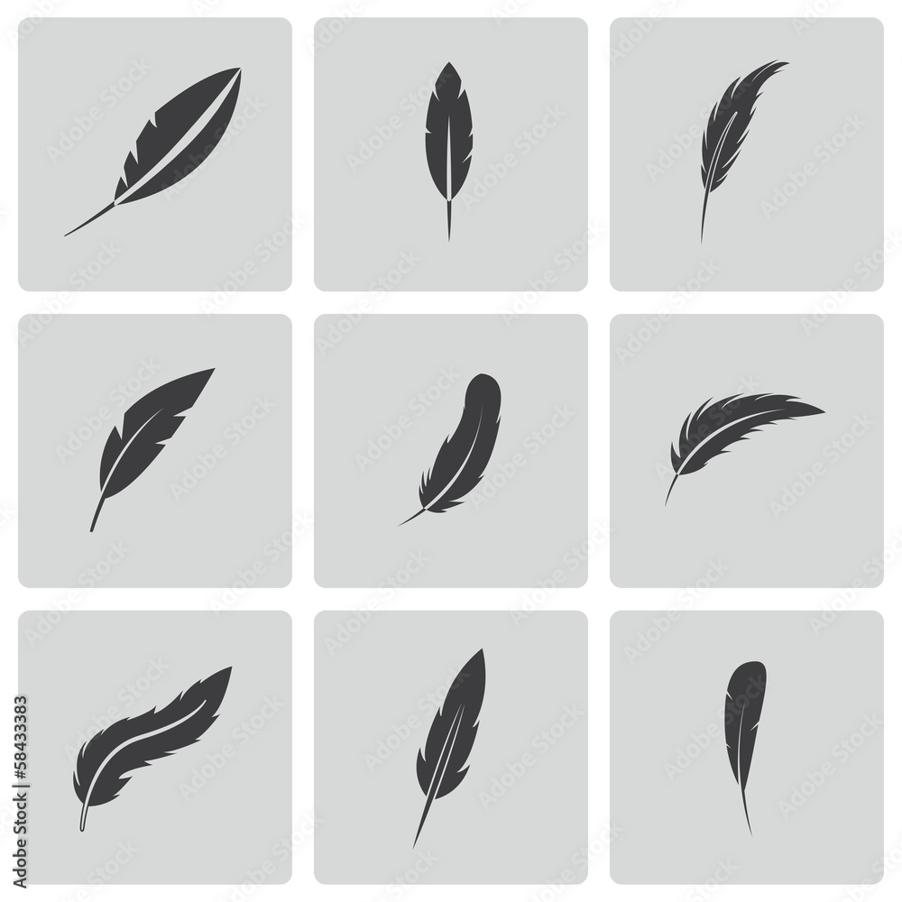 Vector black feather icons set Vector black feather icons set