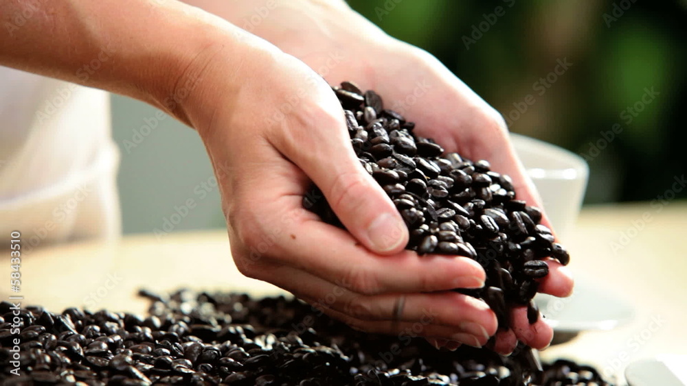 Hands Only Fresh Coffee Beans Pouring From Female Hands Hands Only Fresh Coffee Beans Pouring From Female Hands