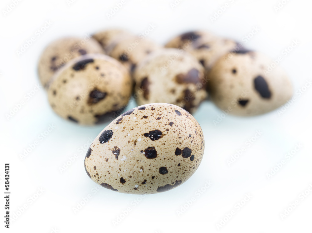 Quail eggs isolated on white