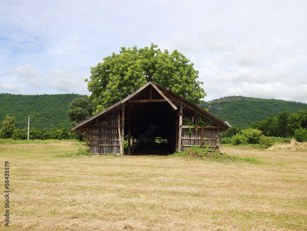 Obraz premium farm on the country