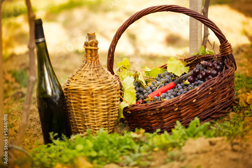 Bottle of wine and grapes in basket