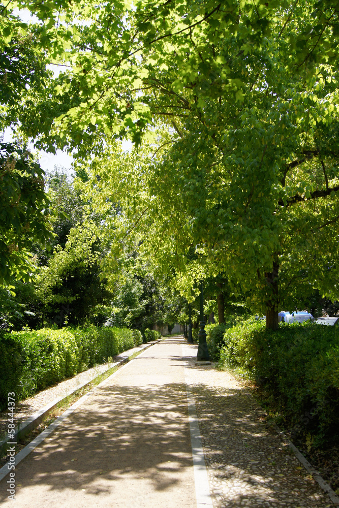 Footpath to the Alhambra Footpath to the Alhambra