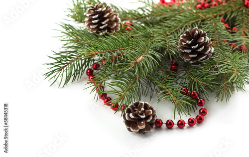 Spruce with decorations on white background.