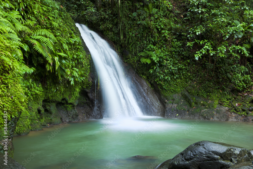 Fototapeta premium Cascades aux Ecrevisses waterfall, Guadeloupe