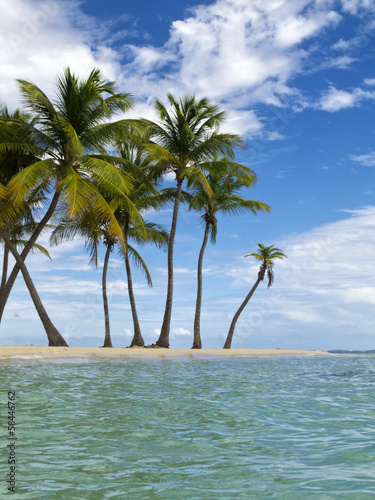 Tropical Beach at the Caribbean Sea