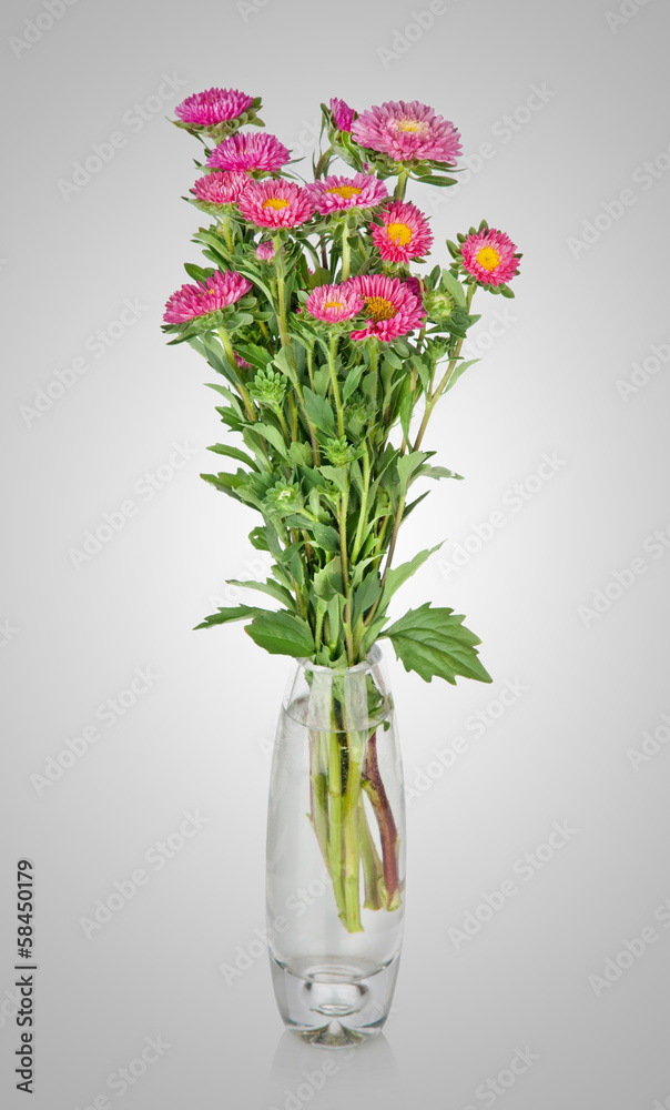 Fototapeta premium asters bouquet in vase