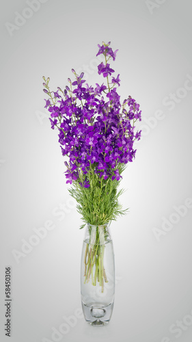 Cornflowers flowers in vase