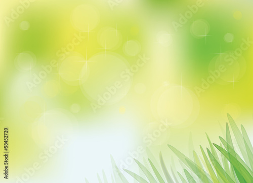 Vector sunny spring background with grass.