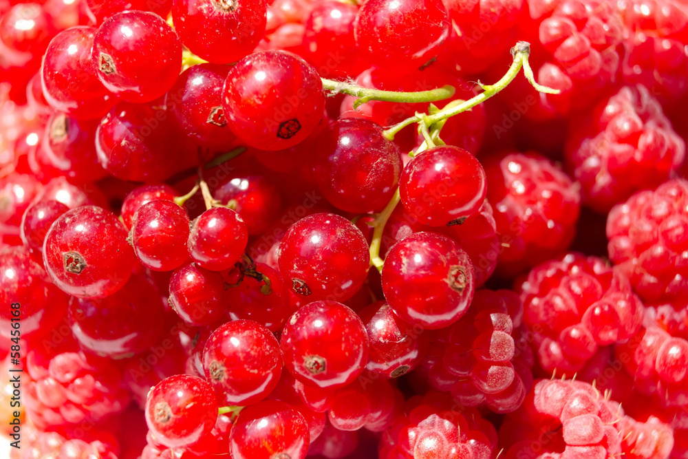 A lot of ripe raspberry and currant close-up A lot of ripe raspberry and currant close-up