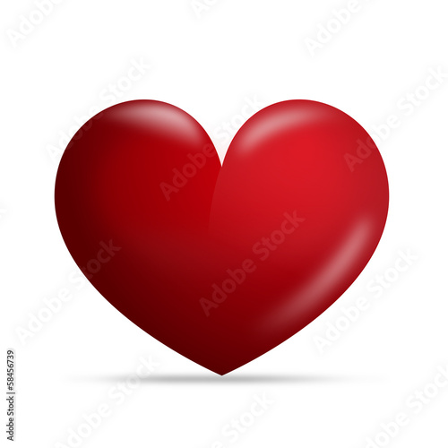 Heart