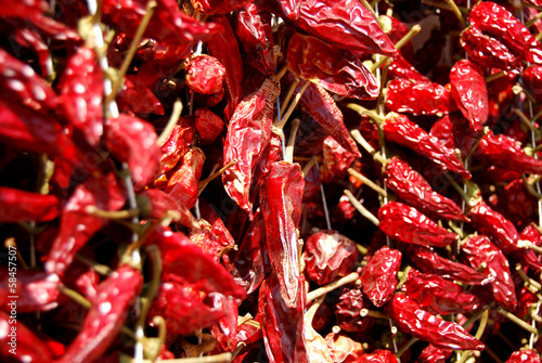 фотографія Group of Calabrian chiles