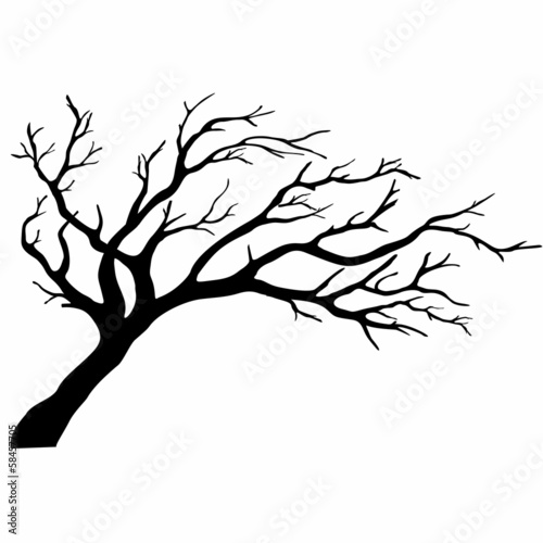Tree silhouettes.