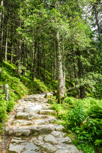 Stone path leading to the peak in summer