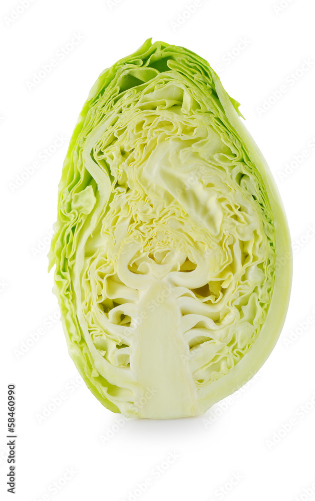 cabbage on white background
