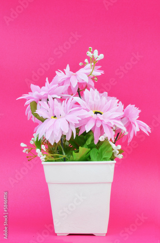 Fototapeta Naklejka Na Ścianę i Meble -  Pink flower in pot