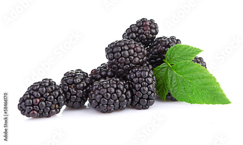 blackberry isolated on white