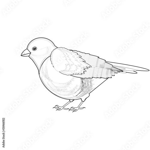 A monochrome sketch of titmouse