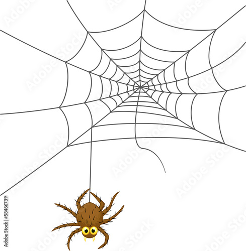 Spider web cartoon