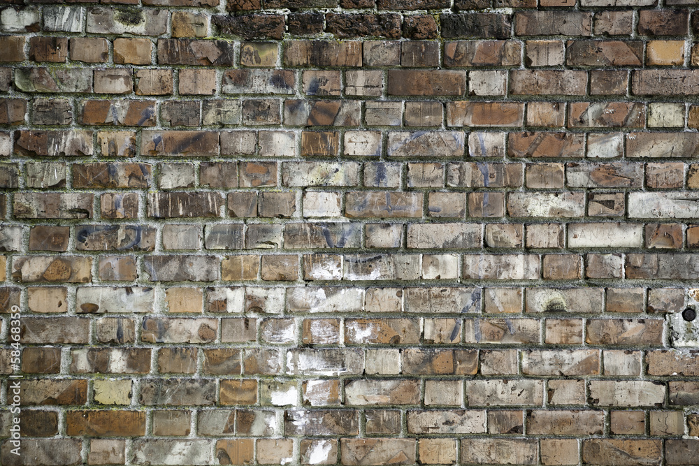 Obraz premium old brick wall background