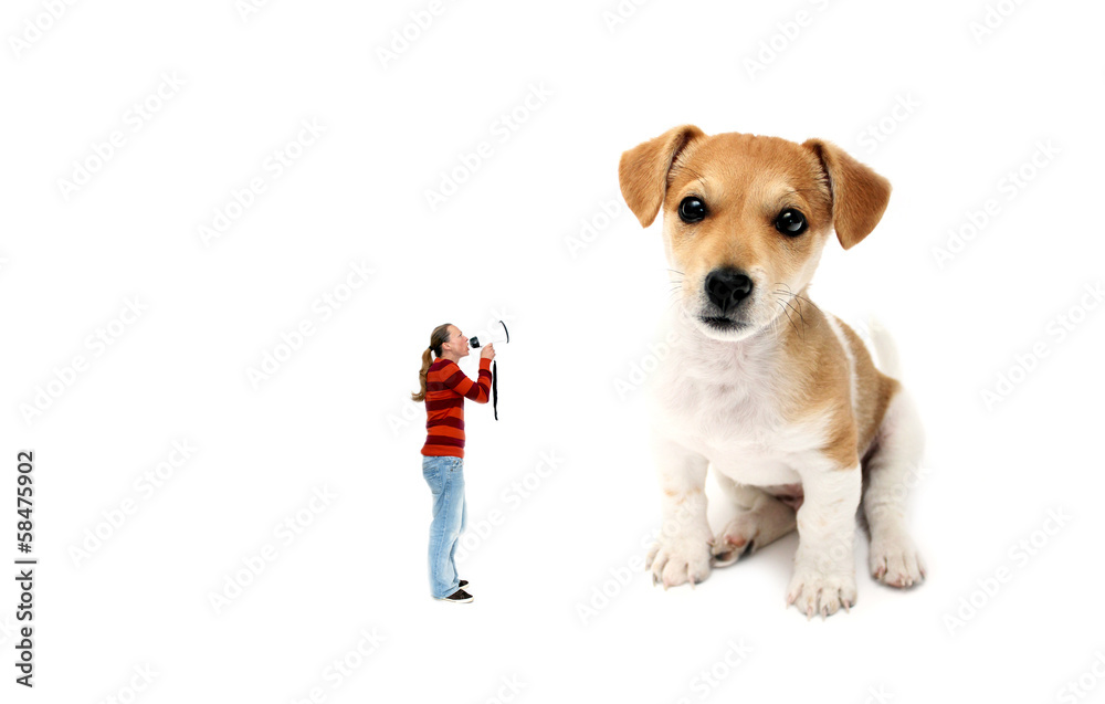 Frau schreit ihren Hund mit Megafon an – Stock-Foto | Adobe Stock