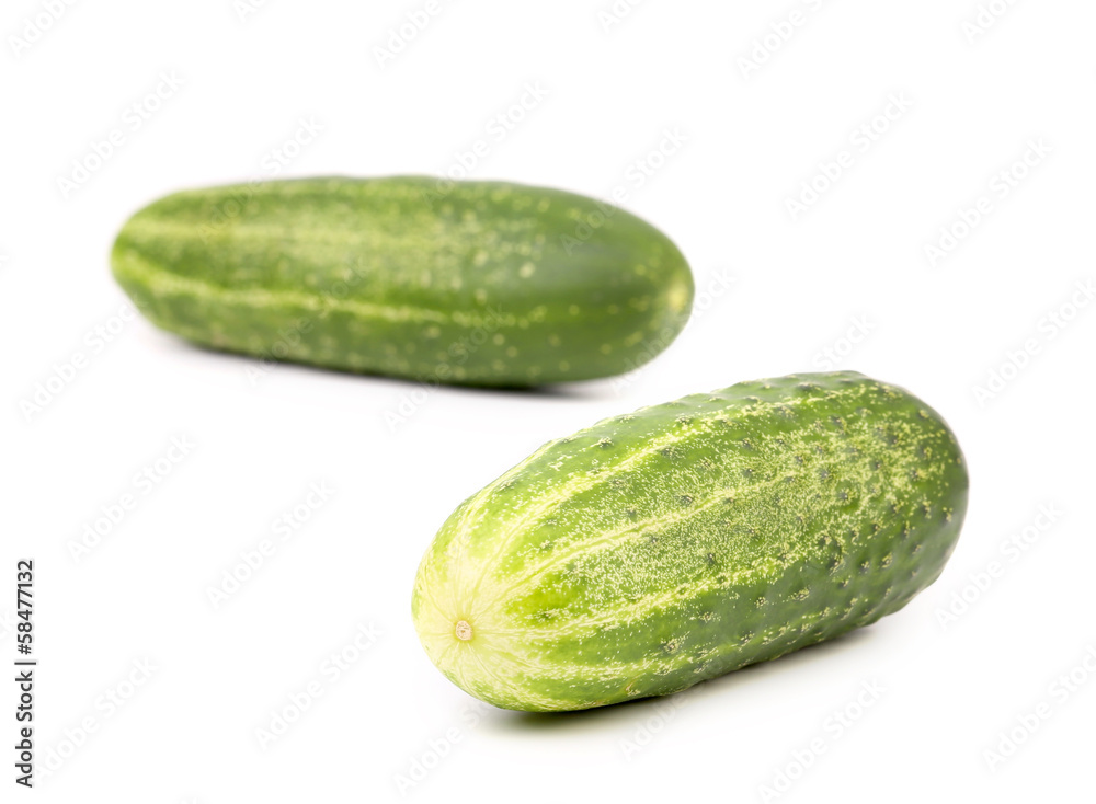Two fresh green cucumbers. Two fresh green cucumbers.