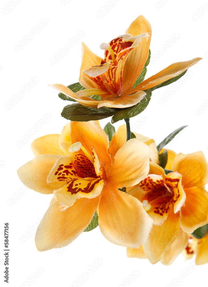 Fototapeta premium artificials