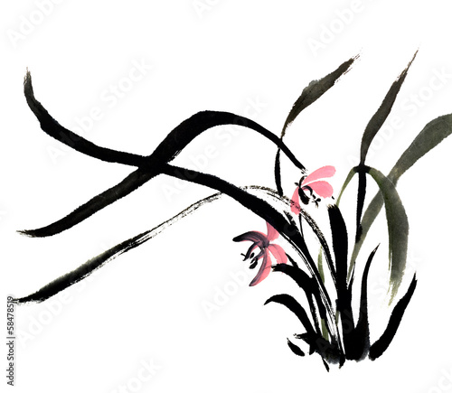 orchid