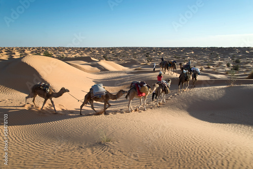Méharée dans le désert du Sahara - Tunisie