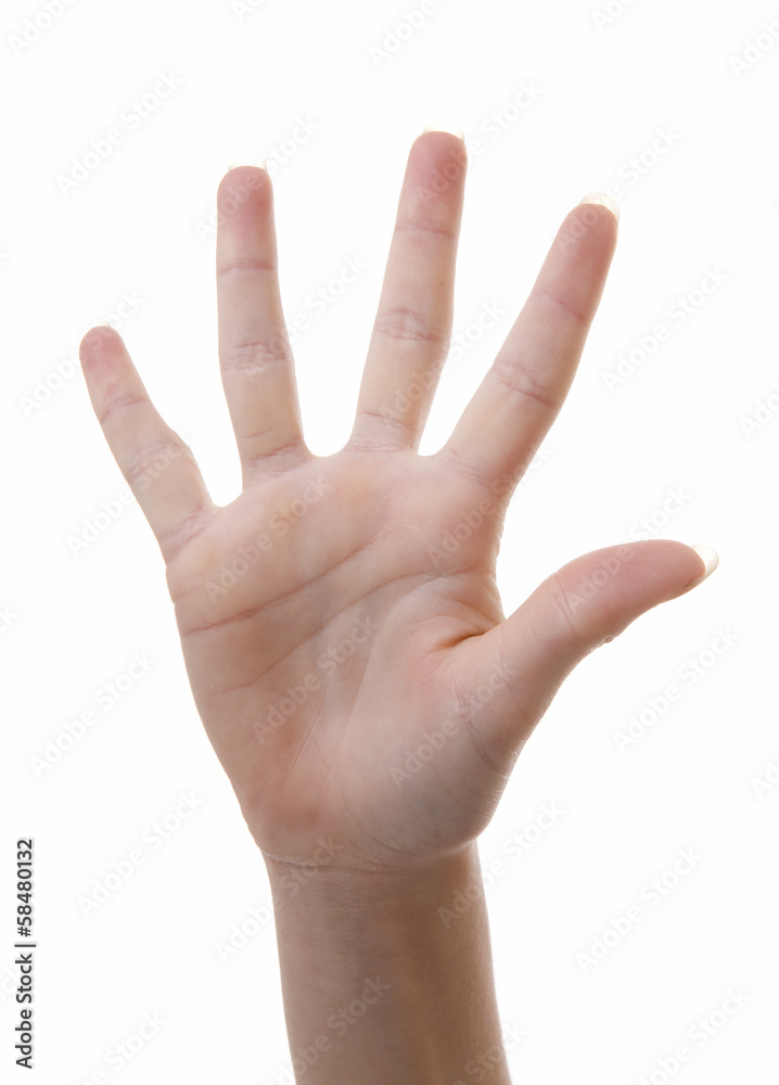 Hand is counting number 5 over white background Hand is counting number 5 over white background