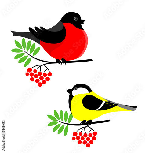 Bullfinch and tit. Winter birds on rowanberry branch.