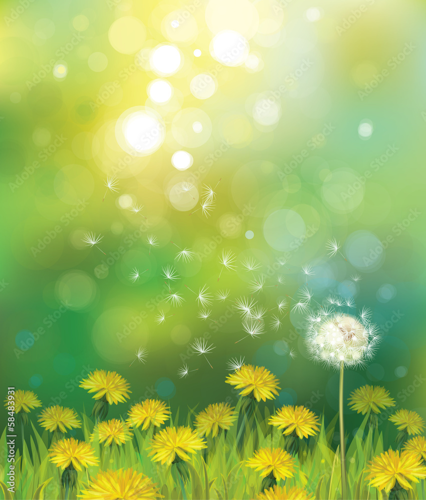 Vector of spring background with dandelions. - obrazy, fototapety, plakaty 