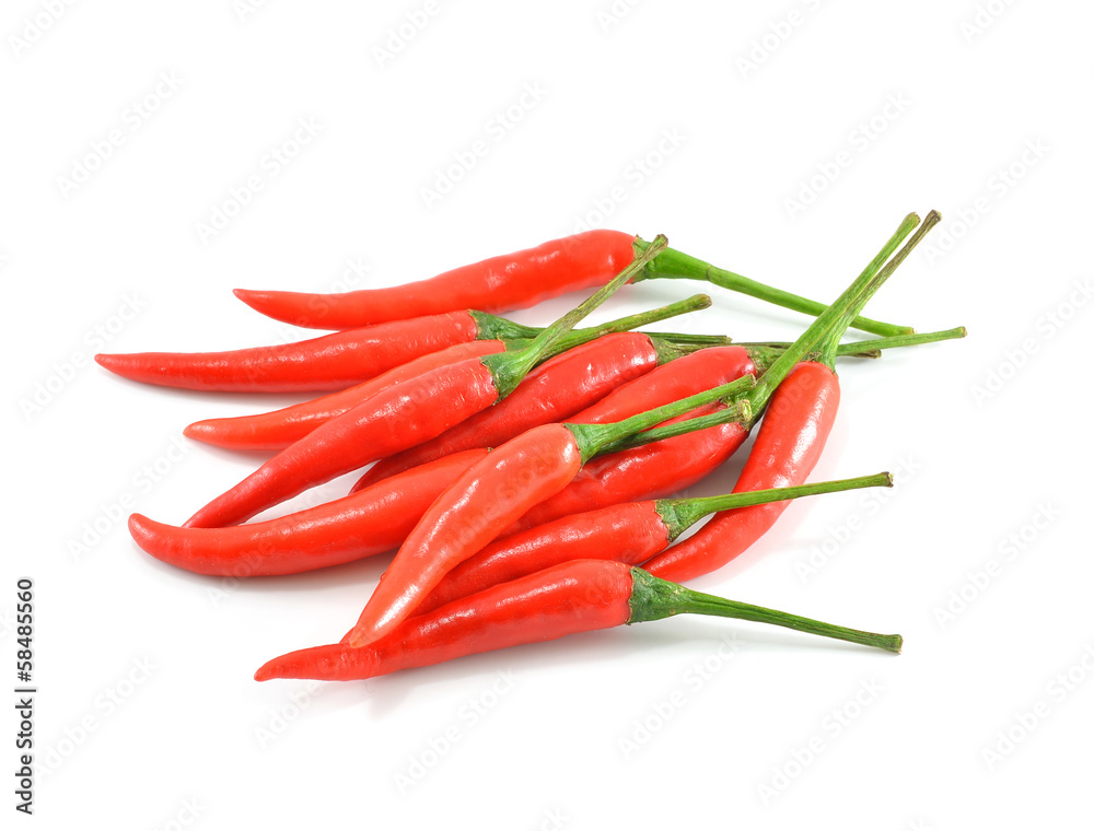 Hot red chili or chilli pepper isolated on white background. Hot red chili or chilli pepper isolated on white background.